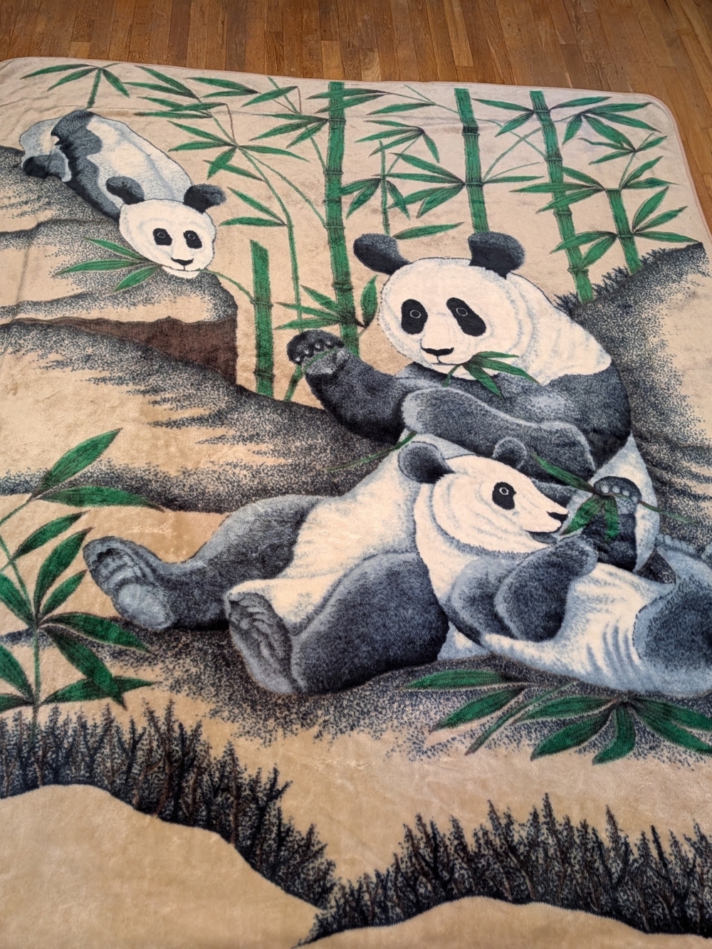 Plush Panda Blanket in Cream and Green SOFT And Thick!